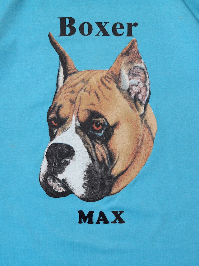 Boxer