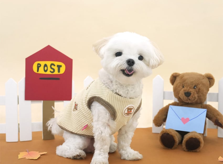 bear corduroy vest S ~ XL 2color / 犬服 秋冬 新作 コーデュロイ ベスト アウター ベロア 裏地 暖かい 可愛い 犬の服 トップス お揃い ドッグウェア