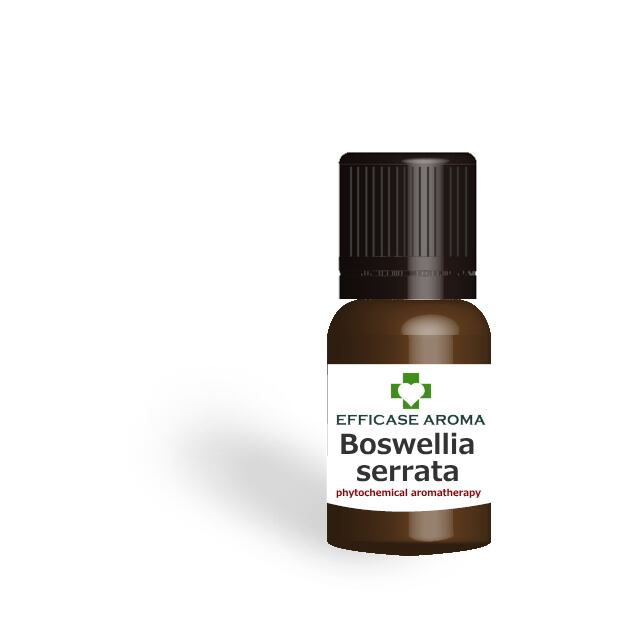 フランキンセンス フランキンセンス “ インド乳香/セラータ ” (Boswellia serrata) 5ml