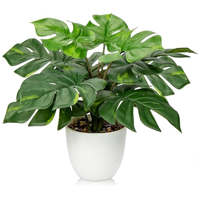 ダインツリー パイン ・ブラウンシュガー | Pay ID