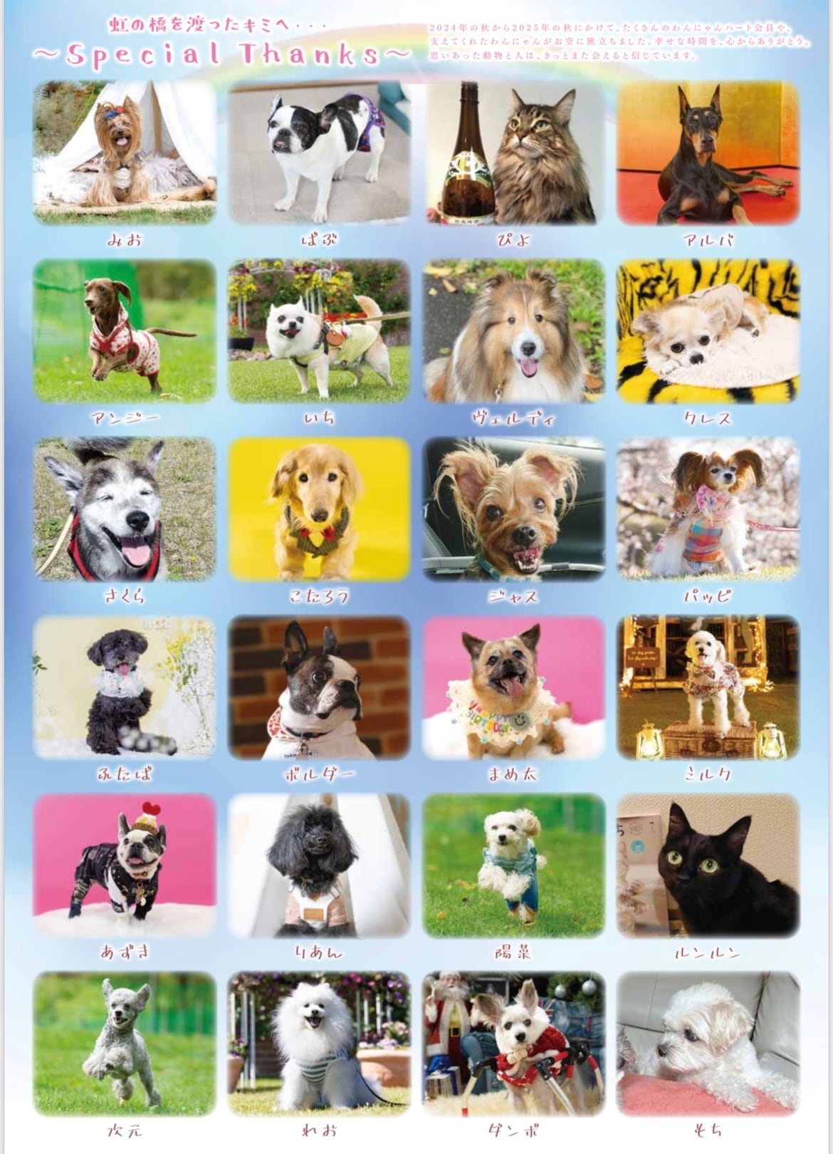 わんにゃんハートカレンダー2026 | わんにゃんハート 道産子わんマルシェ