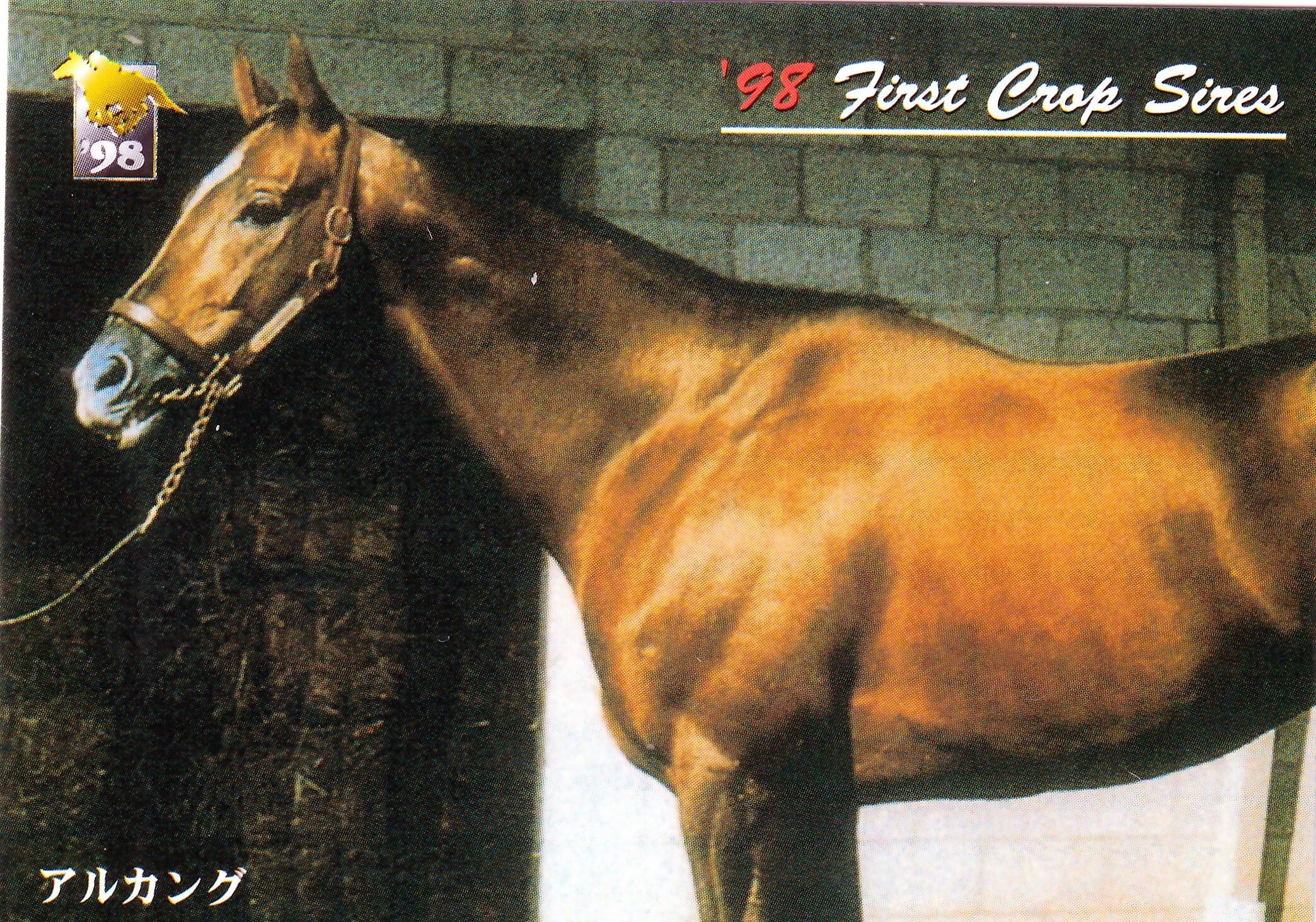 シリウスシンボリ「サラブレッドカード 96年上半期版」M-18 | Pay ID