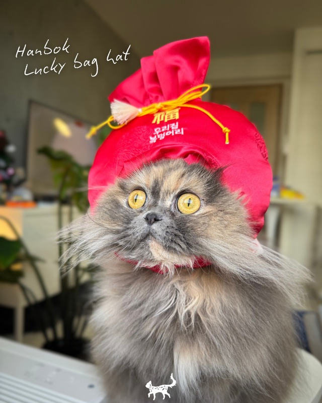 即納【tak!tak!tak!tak!】ハンボク福袋帽子