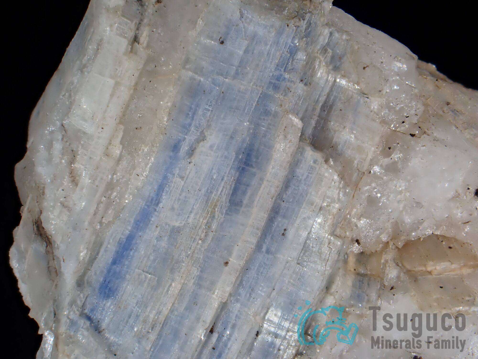 カイヤナイト 藍晶石 カナダ TM-667