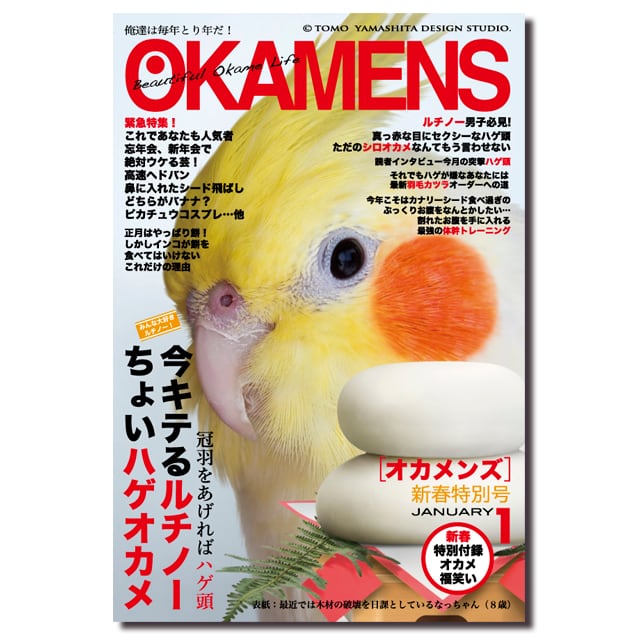 オカメインコ雑誌シリーズズVol.4 ポストカード3枚セット