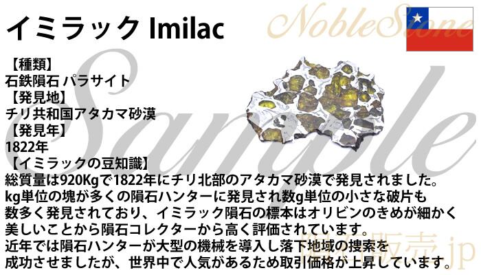 イミラック 石鉄隕石 1822年発見 【公式通販】