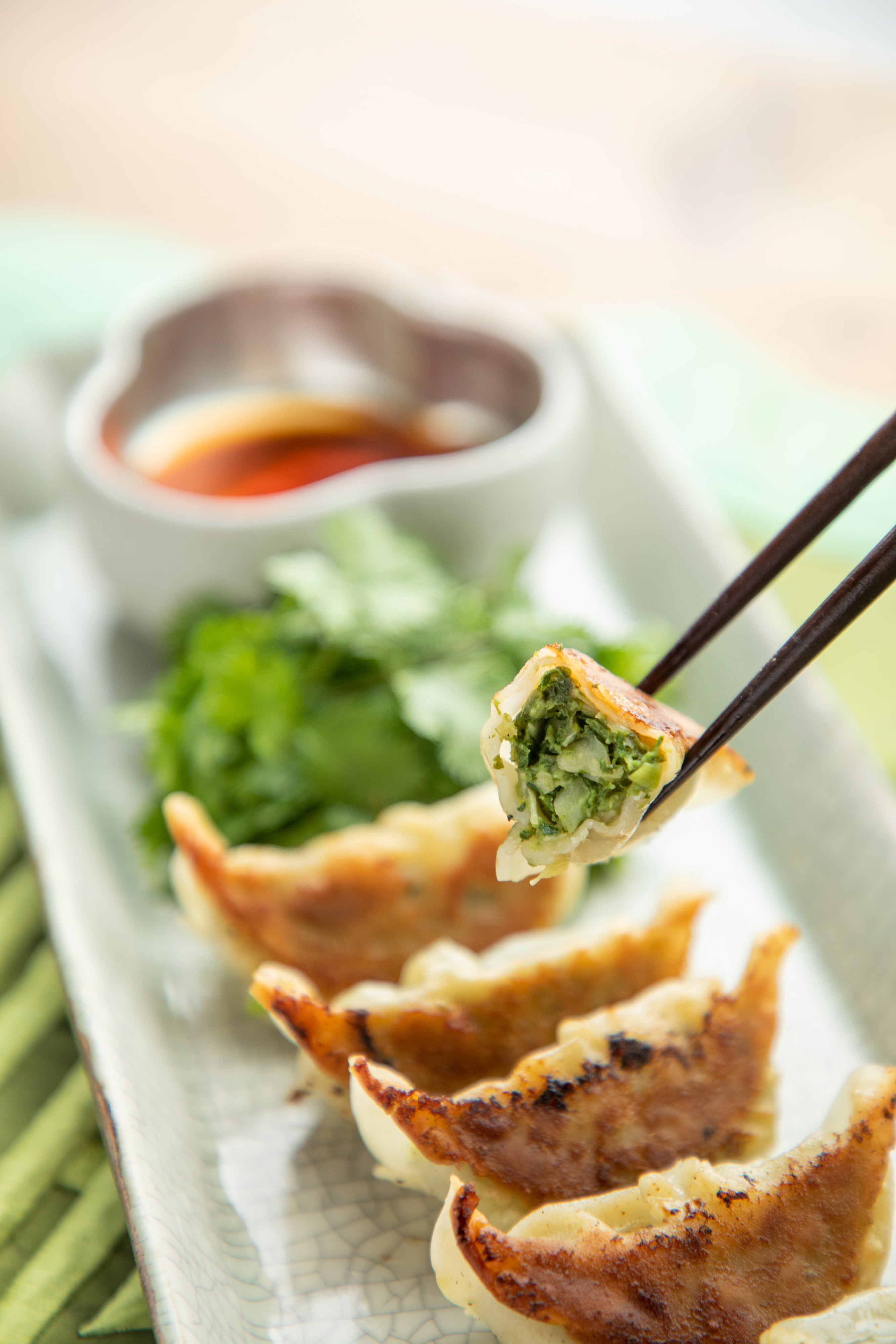 パクチー餃子（香菜餃子）72個（12個×6パック）【送料無料】 | PAKUCI