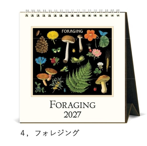 【CAVALLINI】2027 デスクカレンダー/フォレシング ※10月発送予定商品