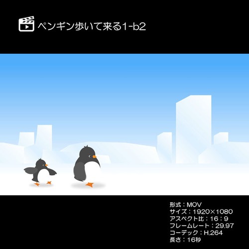 ペンギン歩いて来る1-b2