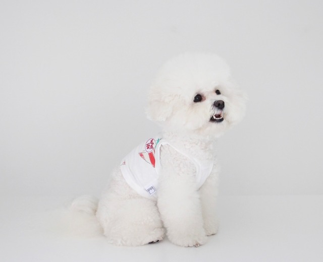 【THEREST OF LIFE】SUNNY LIFE YACHT CROP(white)