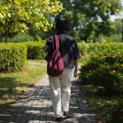 Cotton Hobo bag ボルドー