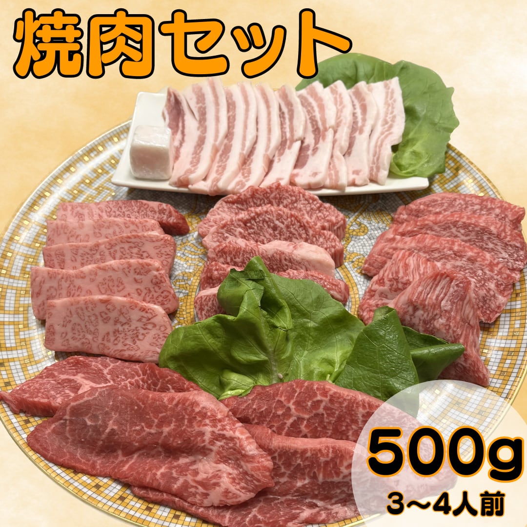 お花見・BBQに★到着日指定可能★スタンダード焼肉セット500ｇ★3～4人分★国産黒毛和牛A5★国産豚