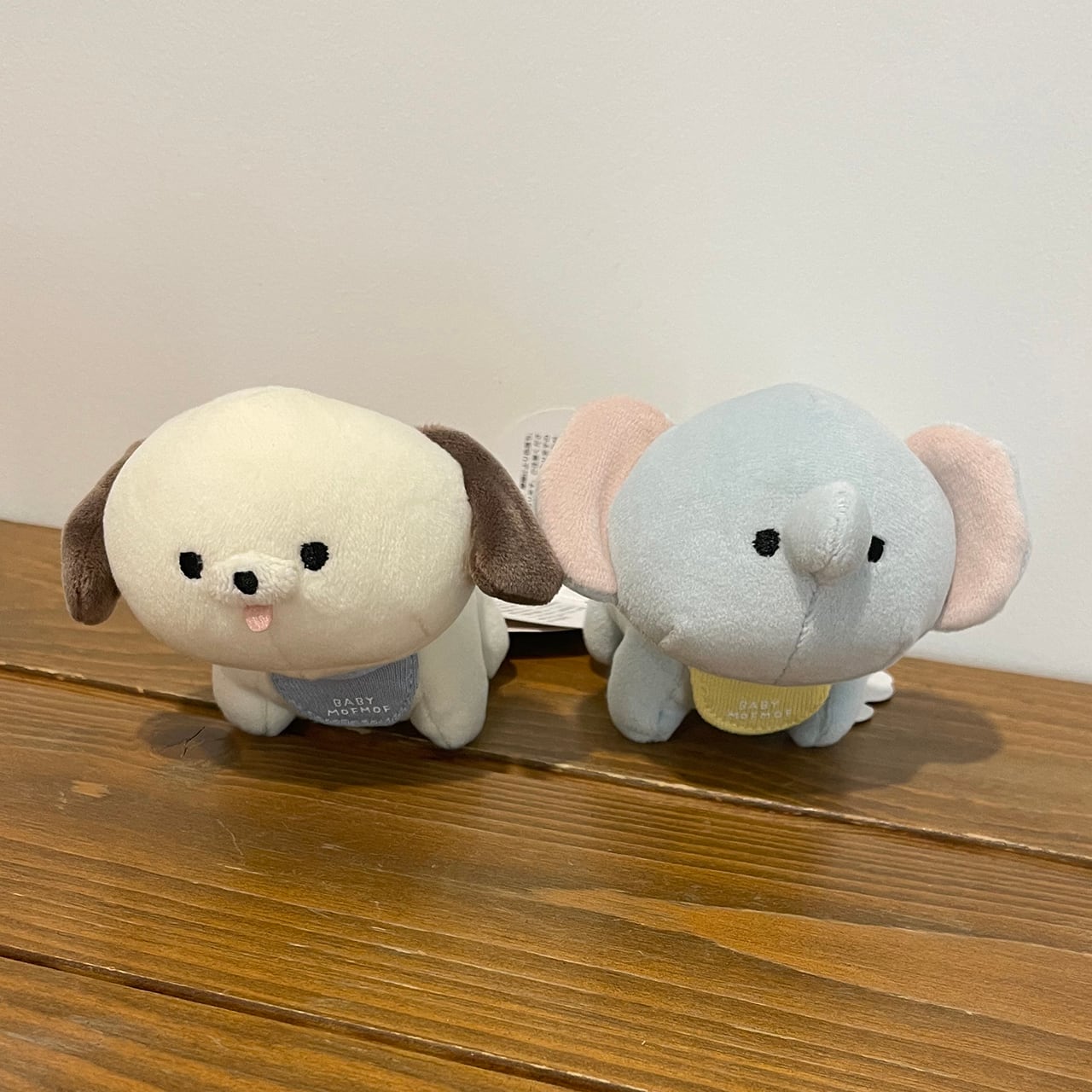 Fischer's ラバーマスコット モトキ ンダホ These four have an announcement for everyone who regularly