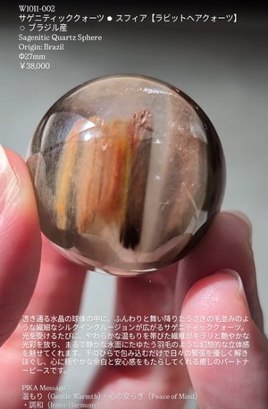 ⭔ お客様専用ページ ✦ chichica1456