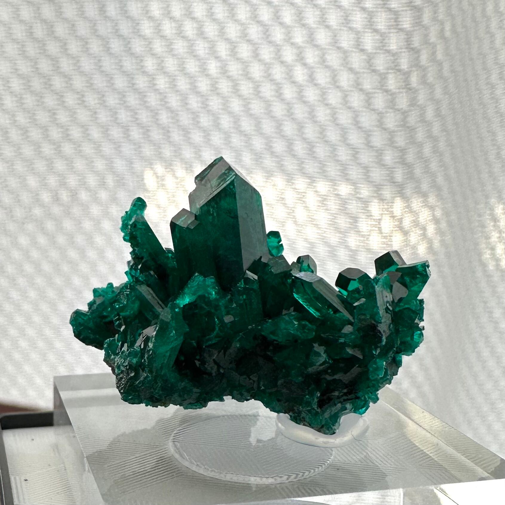 ダイオプテーズ【Dioptase】コンゴ共和国産