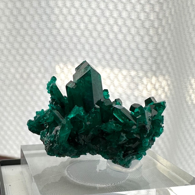 クォーツ / ダイオプテーズ【Quartz on Dioptase】コンゴ共和国産