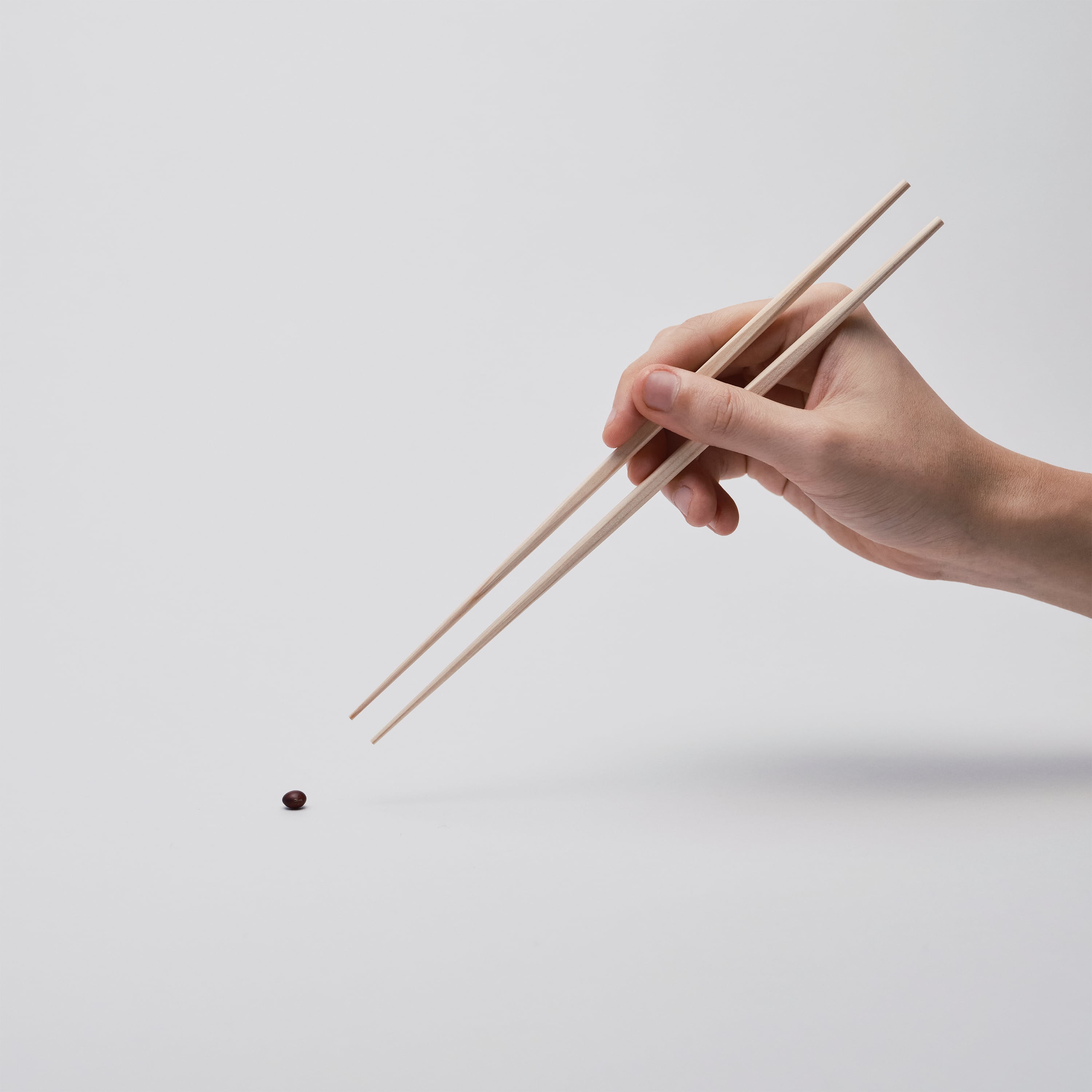 917d2df7cbcd95ddc6b39920e3c056