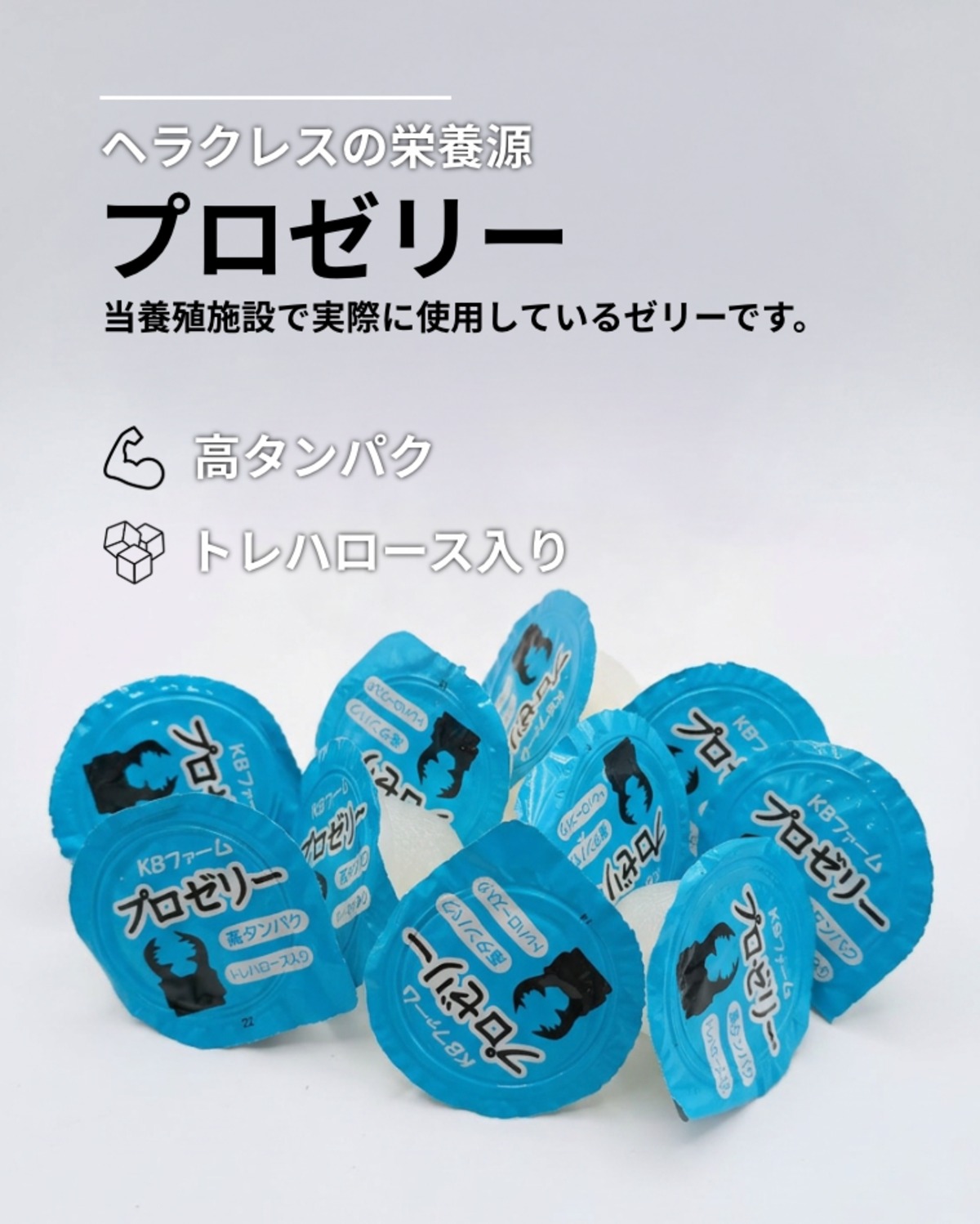 送料無料】昆虫ゼリー プロゼリー16g 50個入り | ヘラクレス王国