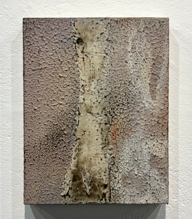 新村葉月　trace 24F0_2