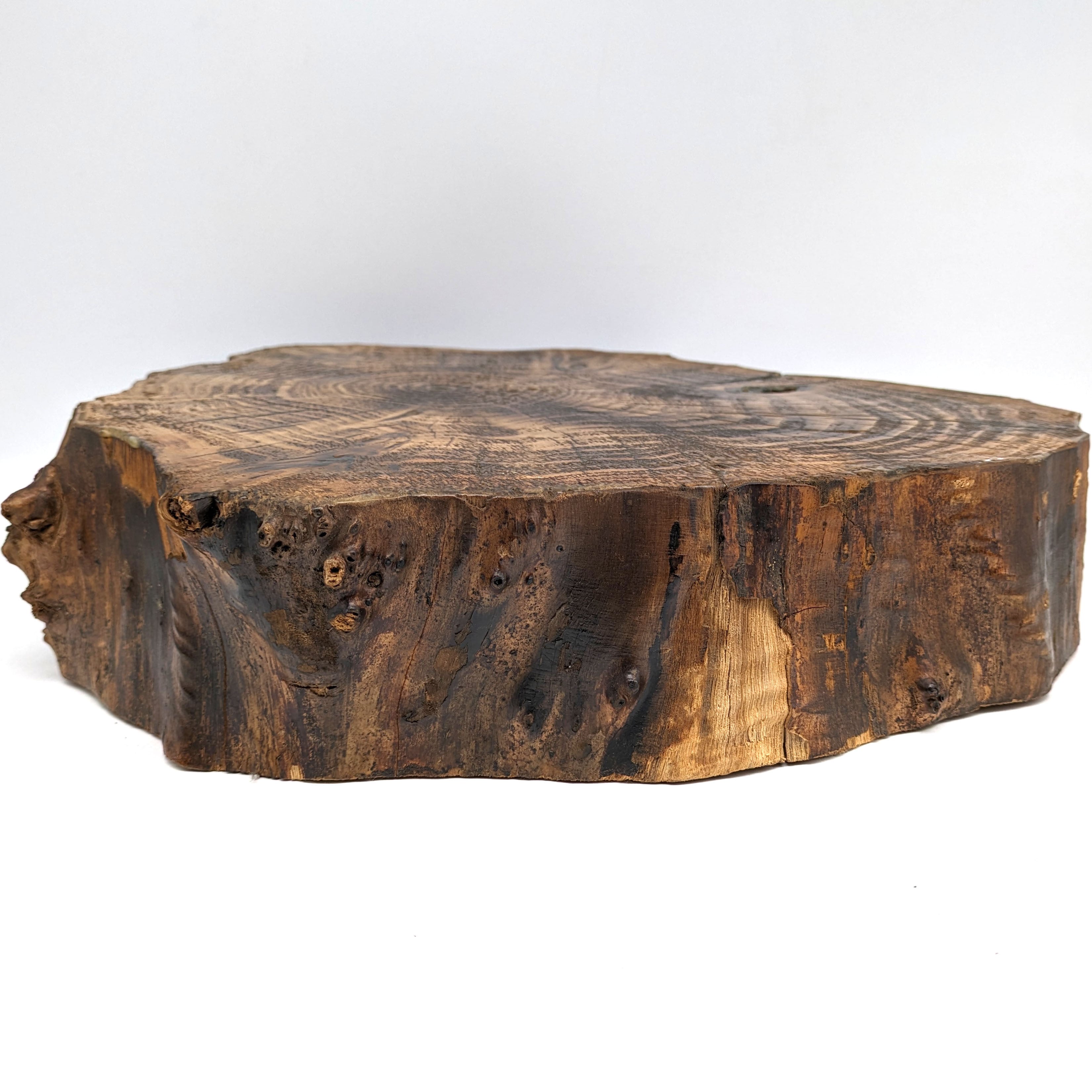 インテリア置物台　手造り天然 天然木・置物台・インテリア・No.240222-20・梱包サイズ100