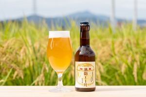 S-GPS6クラフトビール　新次郎＆酒粕エール３種６本セット　330ml×6