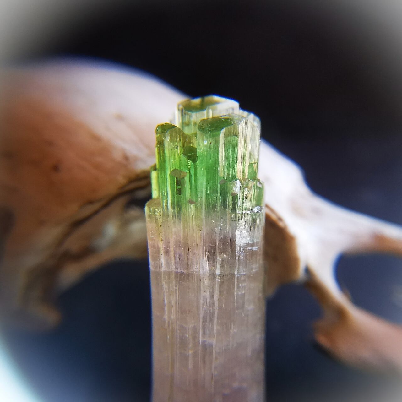 Elbaite Tourmaline Crystal -エルバイトトルマリン- Pakistan SO004