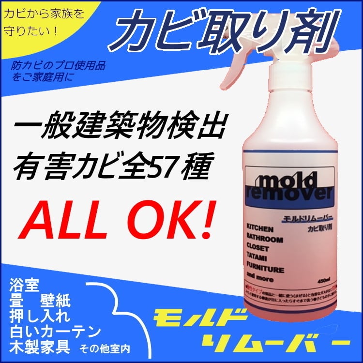 品質一番の 大掃除お助けセット カビ取り剤1000ml 防カビ剤450ml ジェルタイプカビ取り剤 送料無料 munozmarchesi.ar