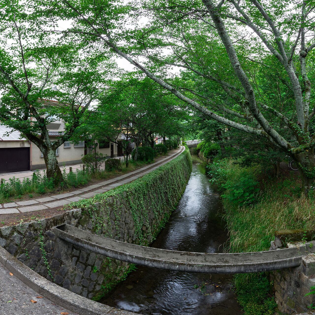 新緑の哲学の道