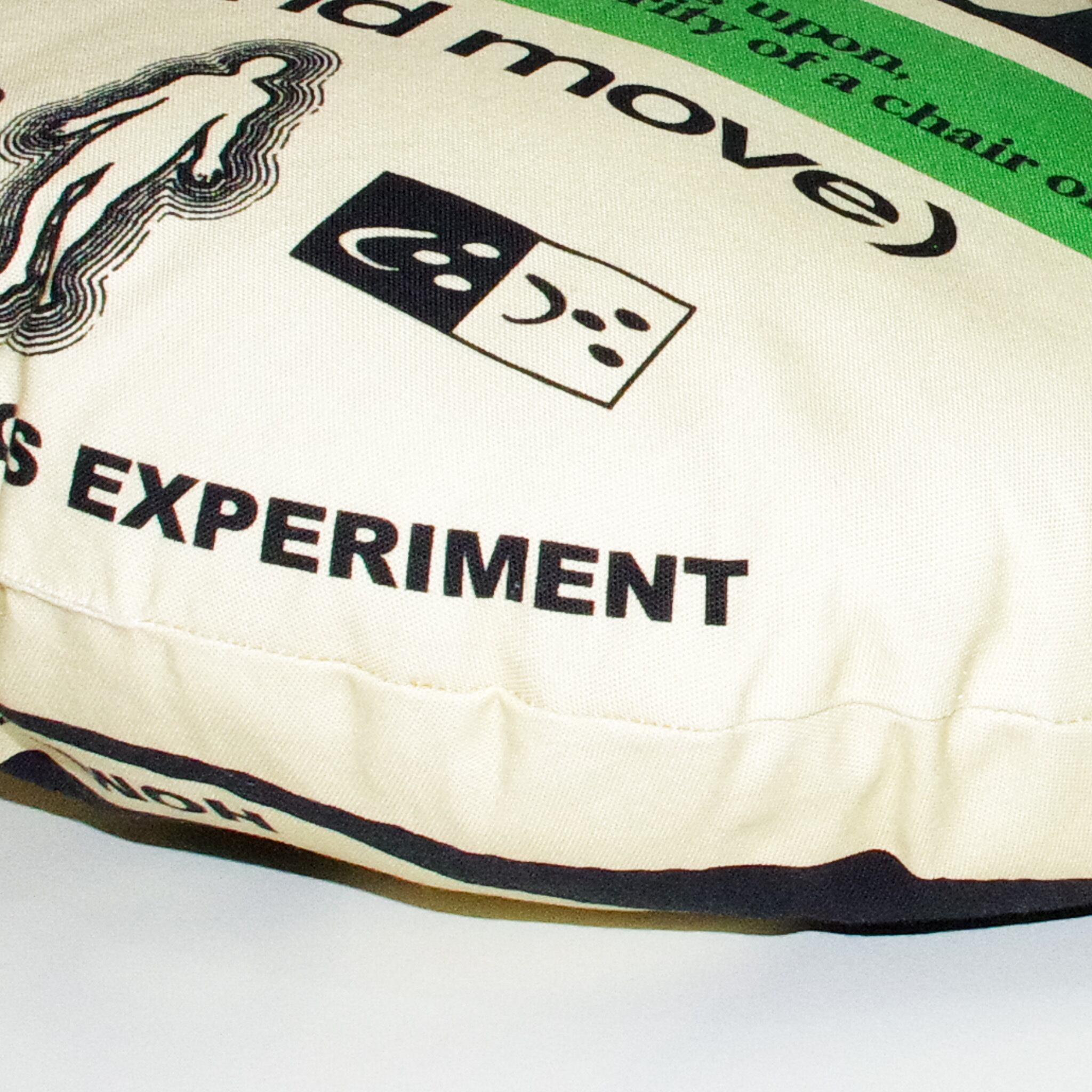 CUSHION yinyang HOME ECONOMICS EXPERIMENT