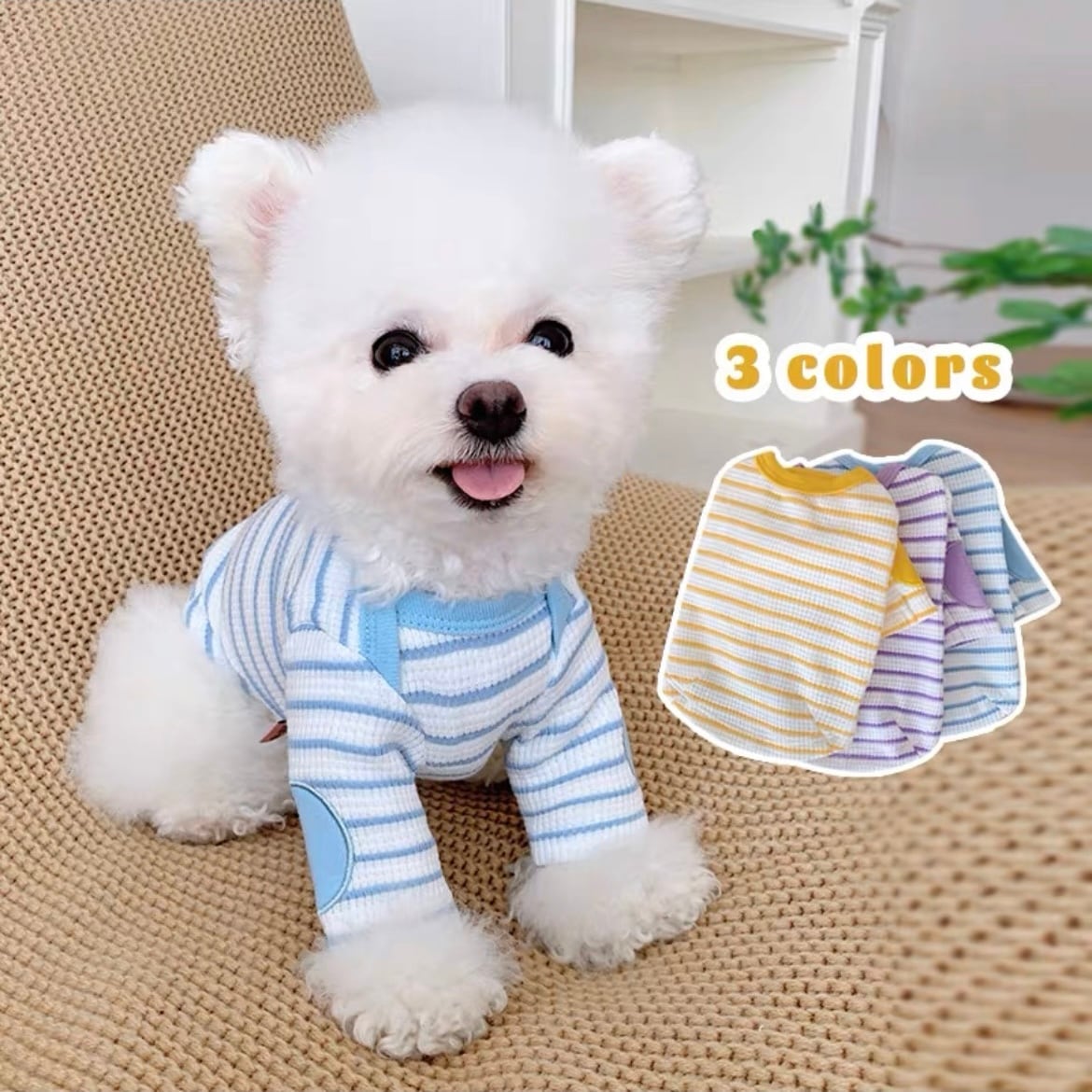 919021a80ad1fa99be758d79d6dc57