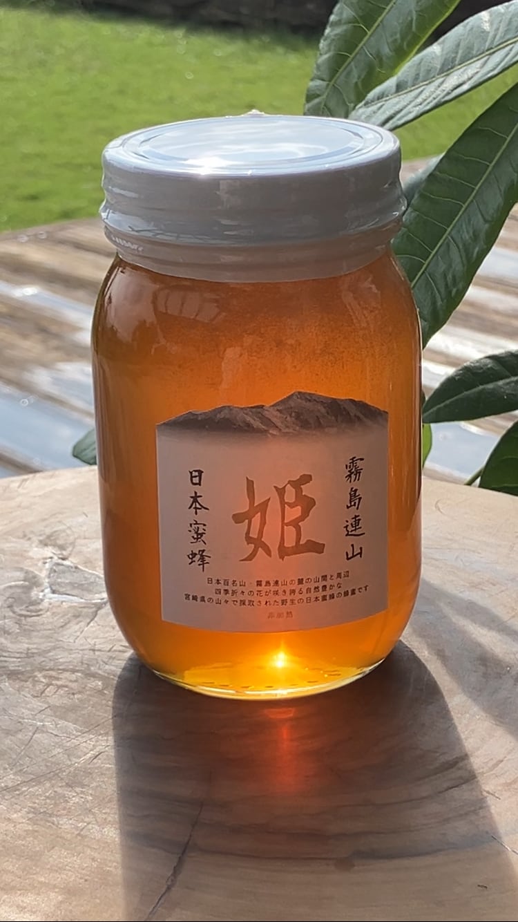 宮崎県 霧島連山】ニホンミツバチのはちみつ 450g 日本在来 野生種蜜蜂