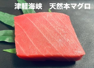 【函館　戸井産】津軽海峡　天然本マグロ【中トロ】150ｇ以上　刺身用冷凍品（限定品）