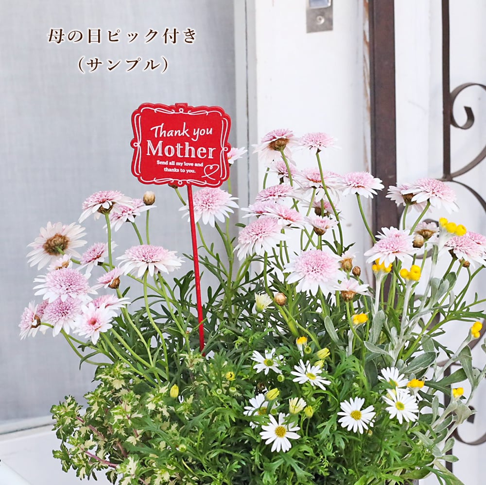季節の花 寄せ植え おまかせ バスケット プチ ナチュラル おしゃれ 母