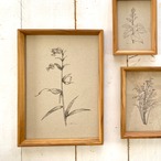 チーク材フレーム A4サイズ