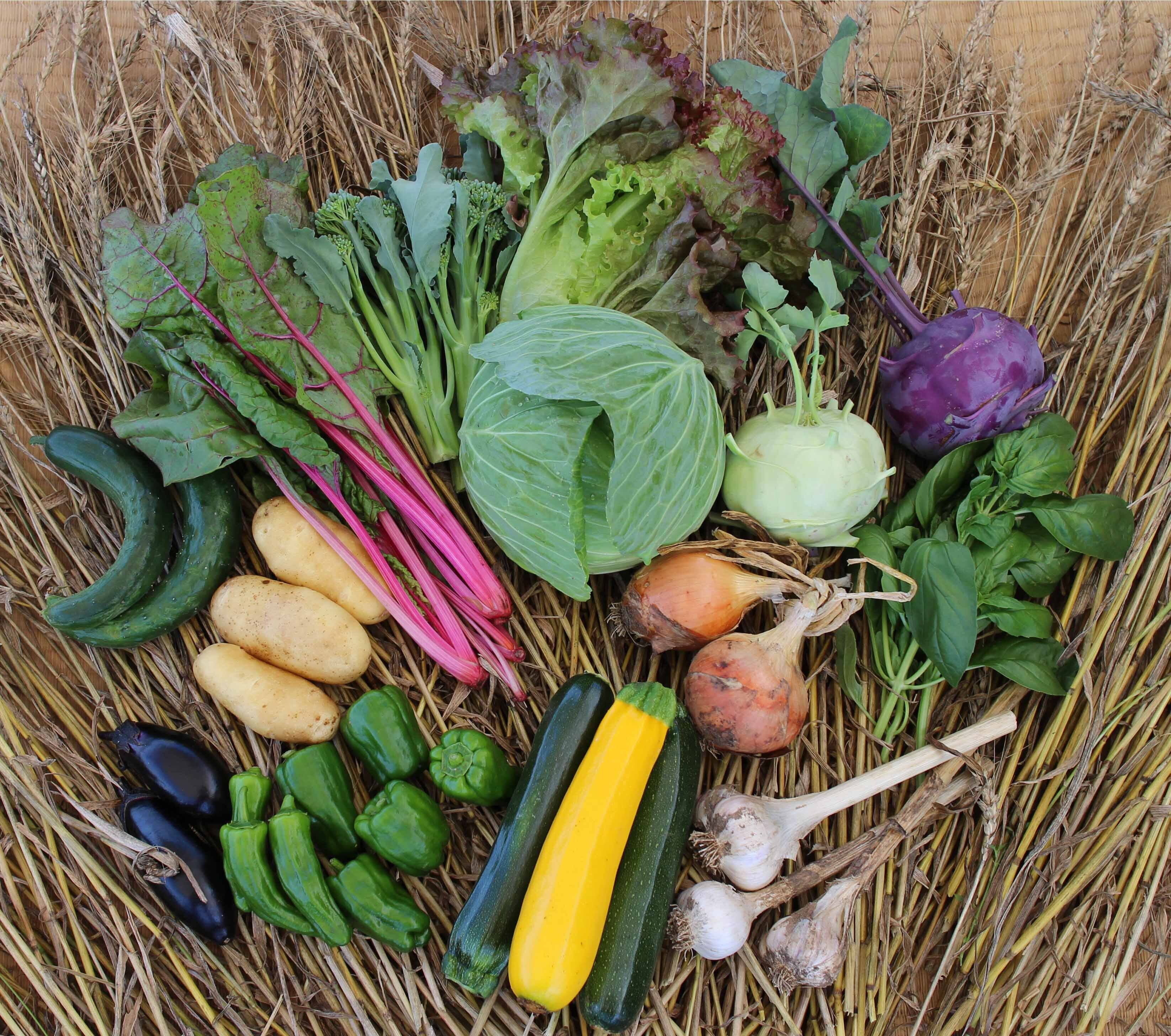 【専用】野菜様 金曜出荷便 季節の野菜セット8〜10品目 80サイズ | ぽんがる有機農園