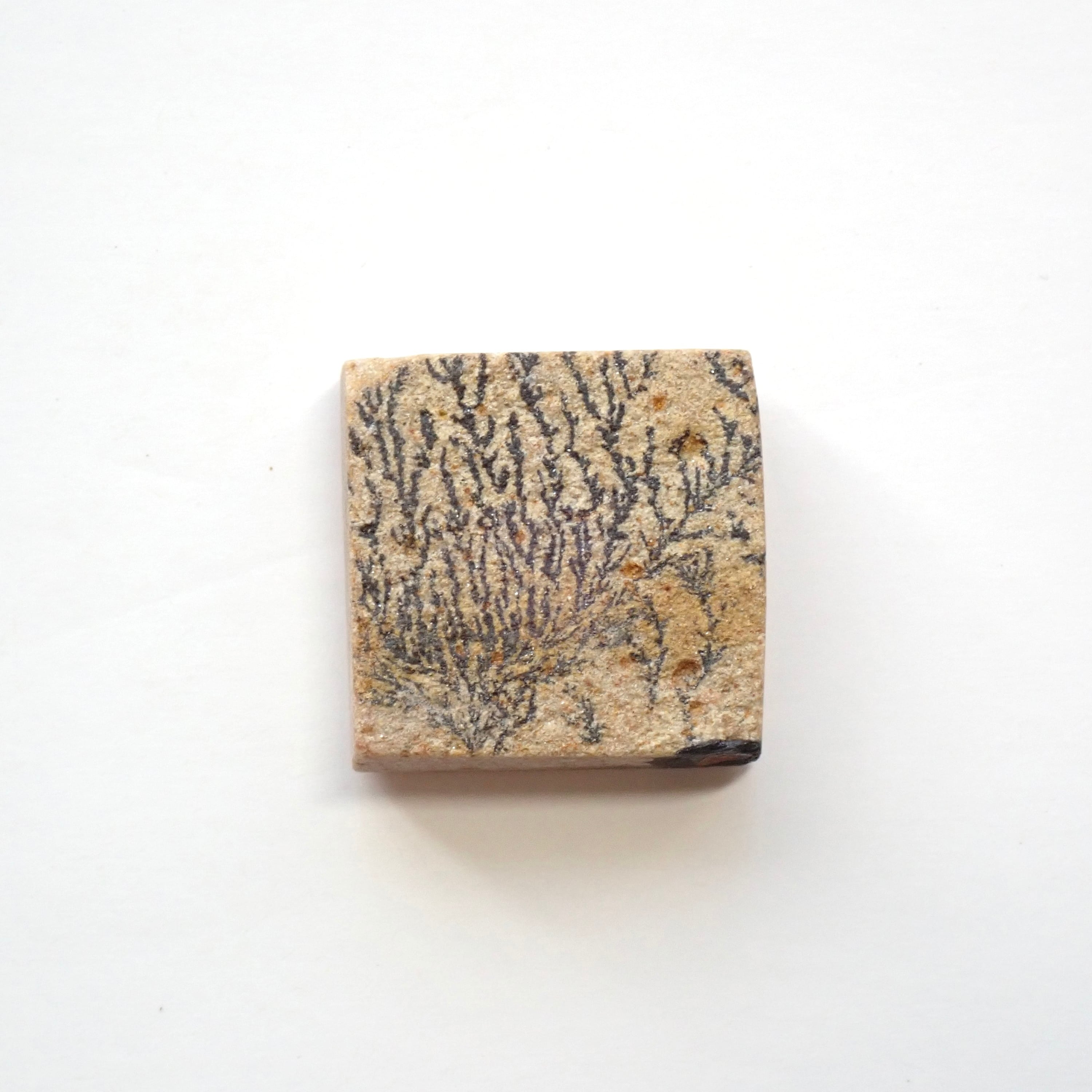 ジャーマン・デンドライト　04