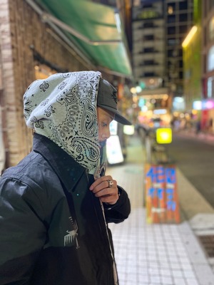 DLAN / HAND STENCILED IRON DUCK JKT / デトロイトジャケットタイプ