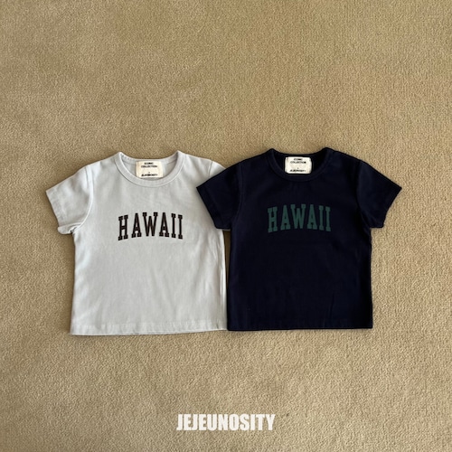【予約】JEJEUNOSITY HAWAII Tシャツ