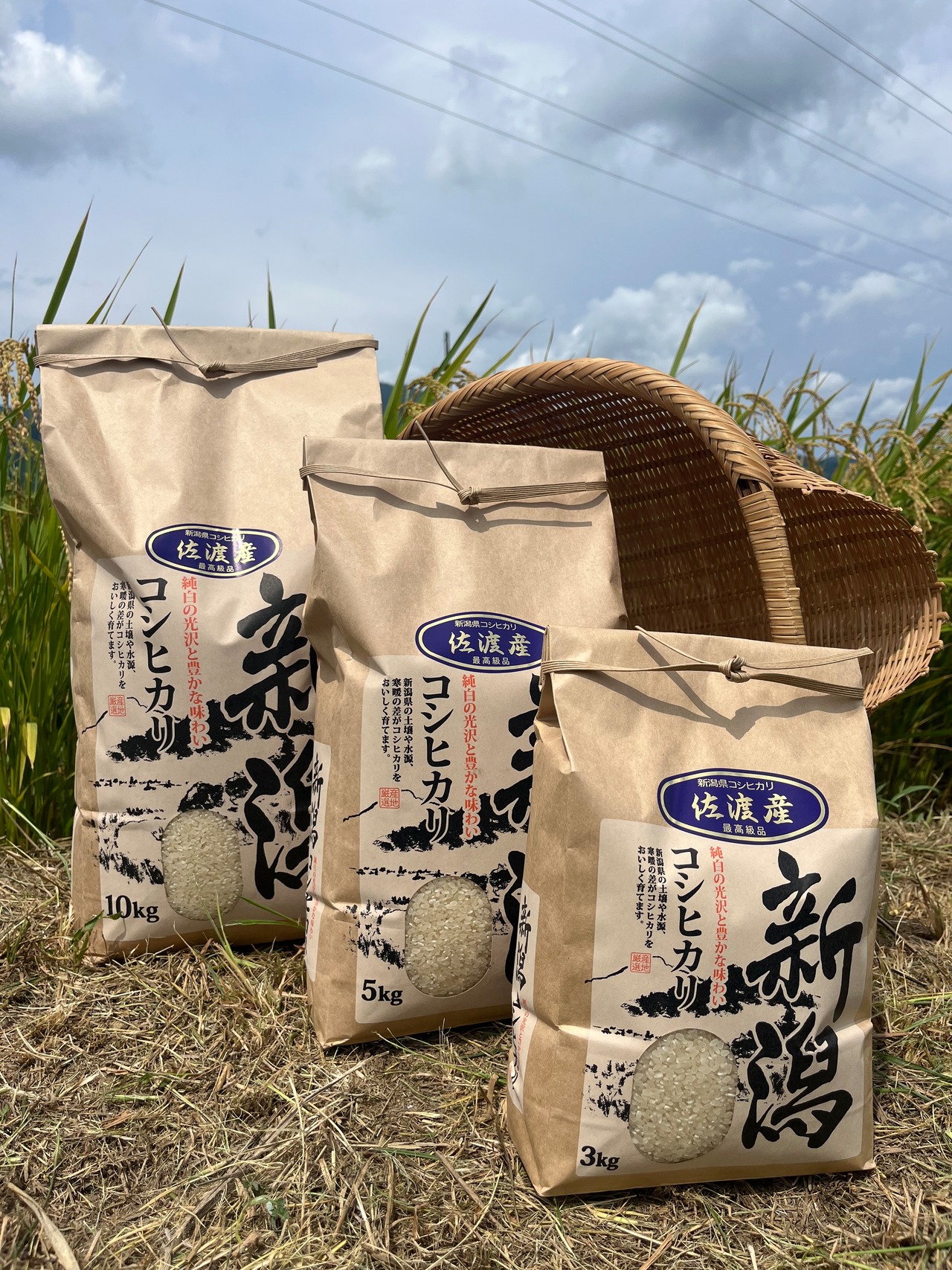 令和8年佐渡産コシヒカリ　10㎏・画像3