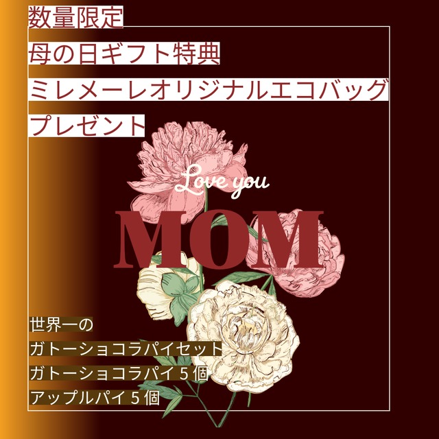 ★母の日ギフト★世界一のガトーショコラパイセット②（ガトーショコラ5個・アップル5個）