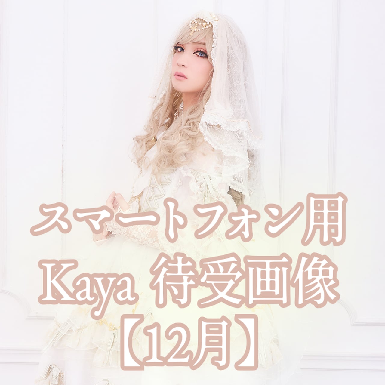 Schwarz Stein】Reincarnation（CD/miniAlbum） | GOODS SHOP