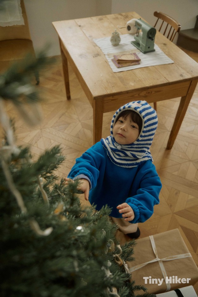 グランパトレーナー 【TinyHiker】