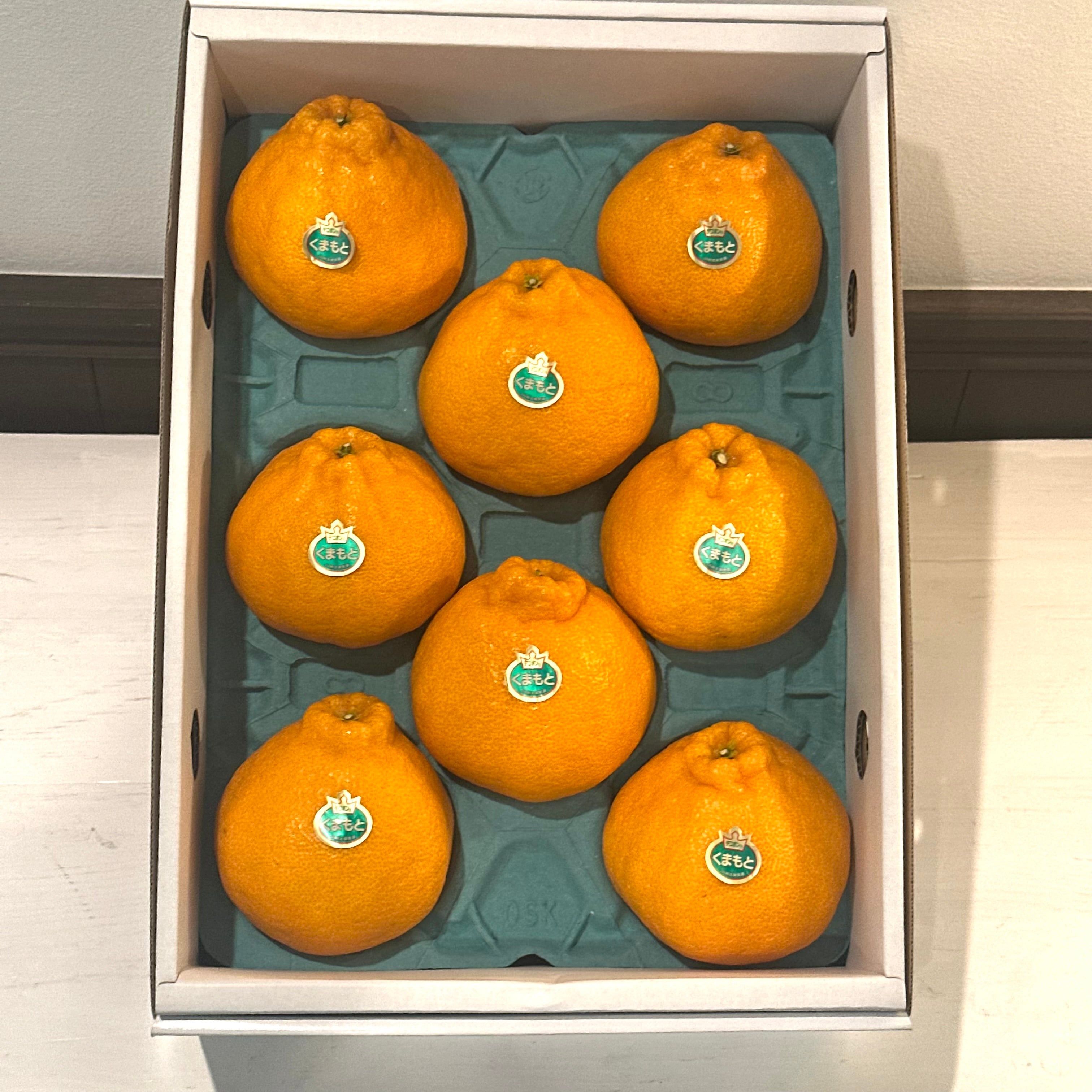 柑橘 | 一富士フルーツ オンラインショップ 一富士 三鷹 通販 ichifujishop