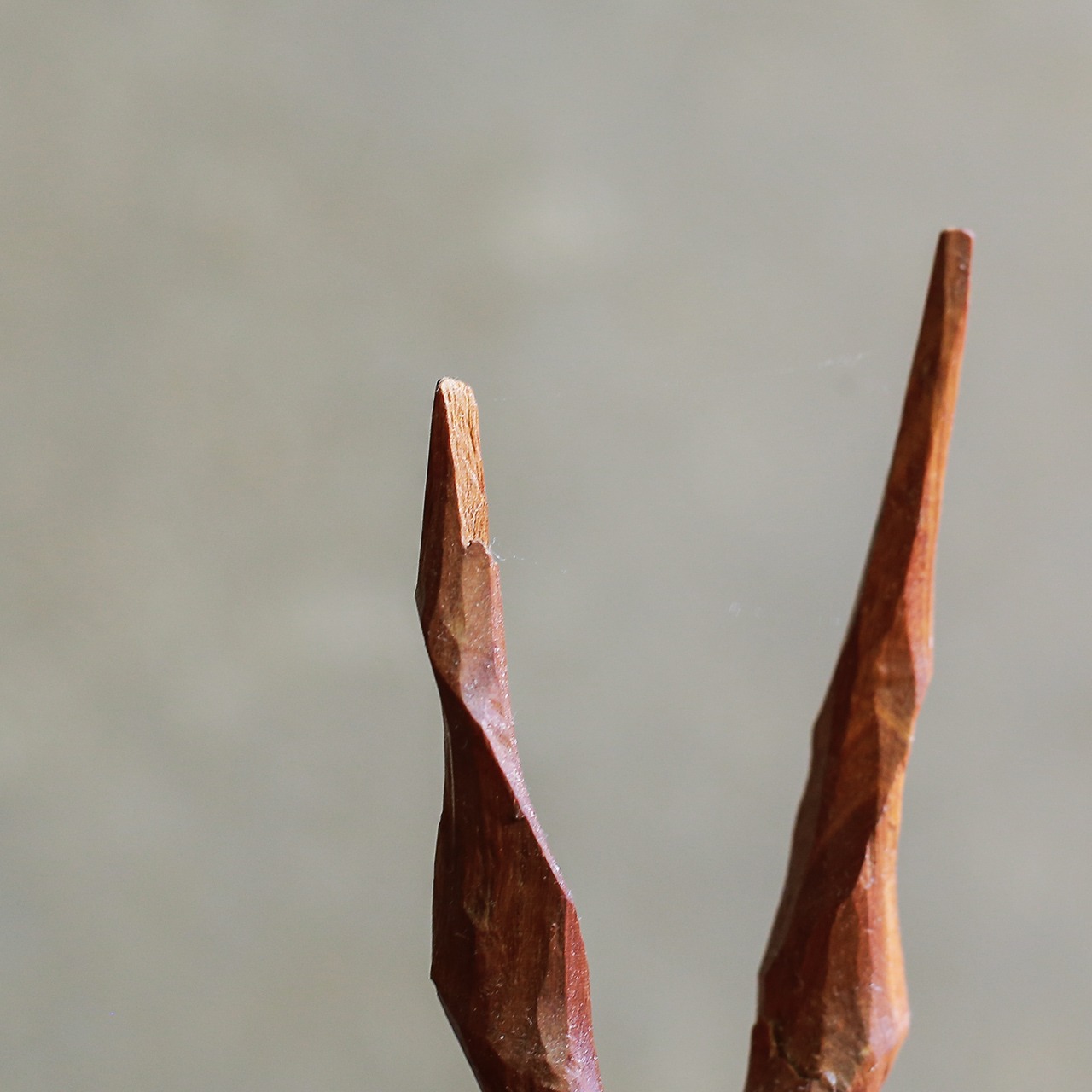 座って休憩中の、トムソンガゼル 2