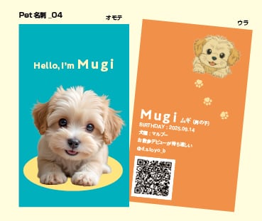 PET NAME CARD_04(50枚単位)