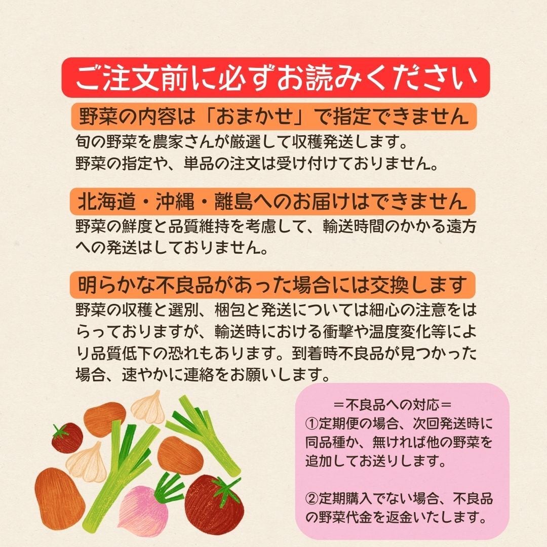 無農薬野菜セット8品目 大阪府富田林市 笑ノ百姓 | 大阪産直VIVA VEGE