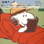 【受注生産】 のれん PEANUTS キャンプ 幅85×丈150cm 93869