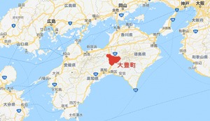 【豊かな山からの恵み/高知県大豊町産】大人気の鹿角大サイズ(約20cm)