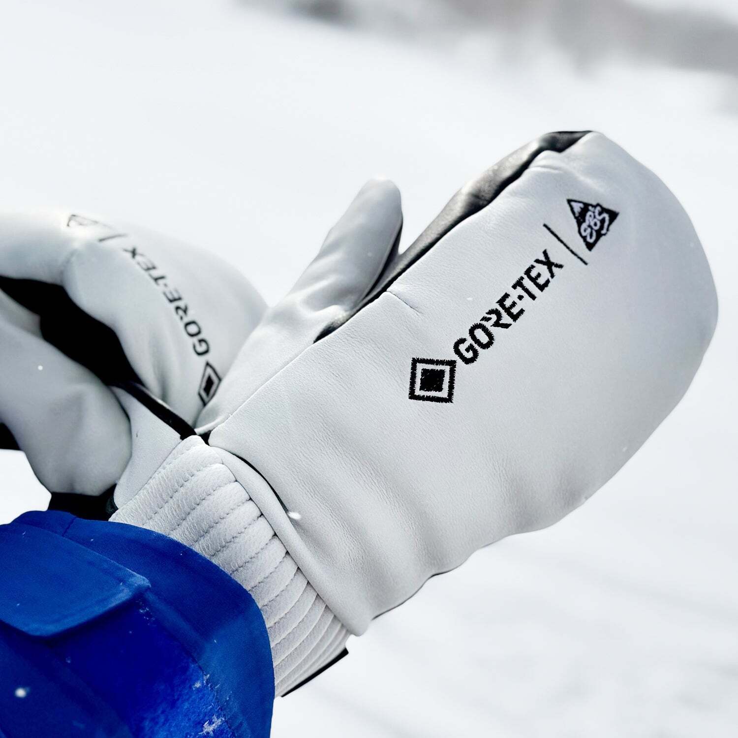 eb's CARVING MITT WHITE GORE-TEX XL 新品 楽天市場】エビス EB'S カービングミット CARVING MITT スノーボード