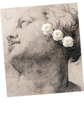 フランス  三人の白薔薇とブローチ アンティーク